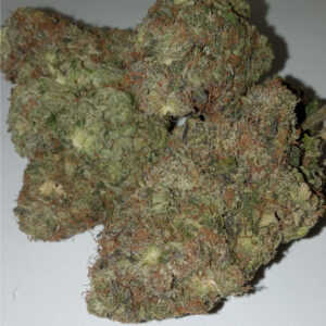 Halifax Weed Planet OG