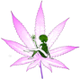 Halifax Dispensary Logo