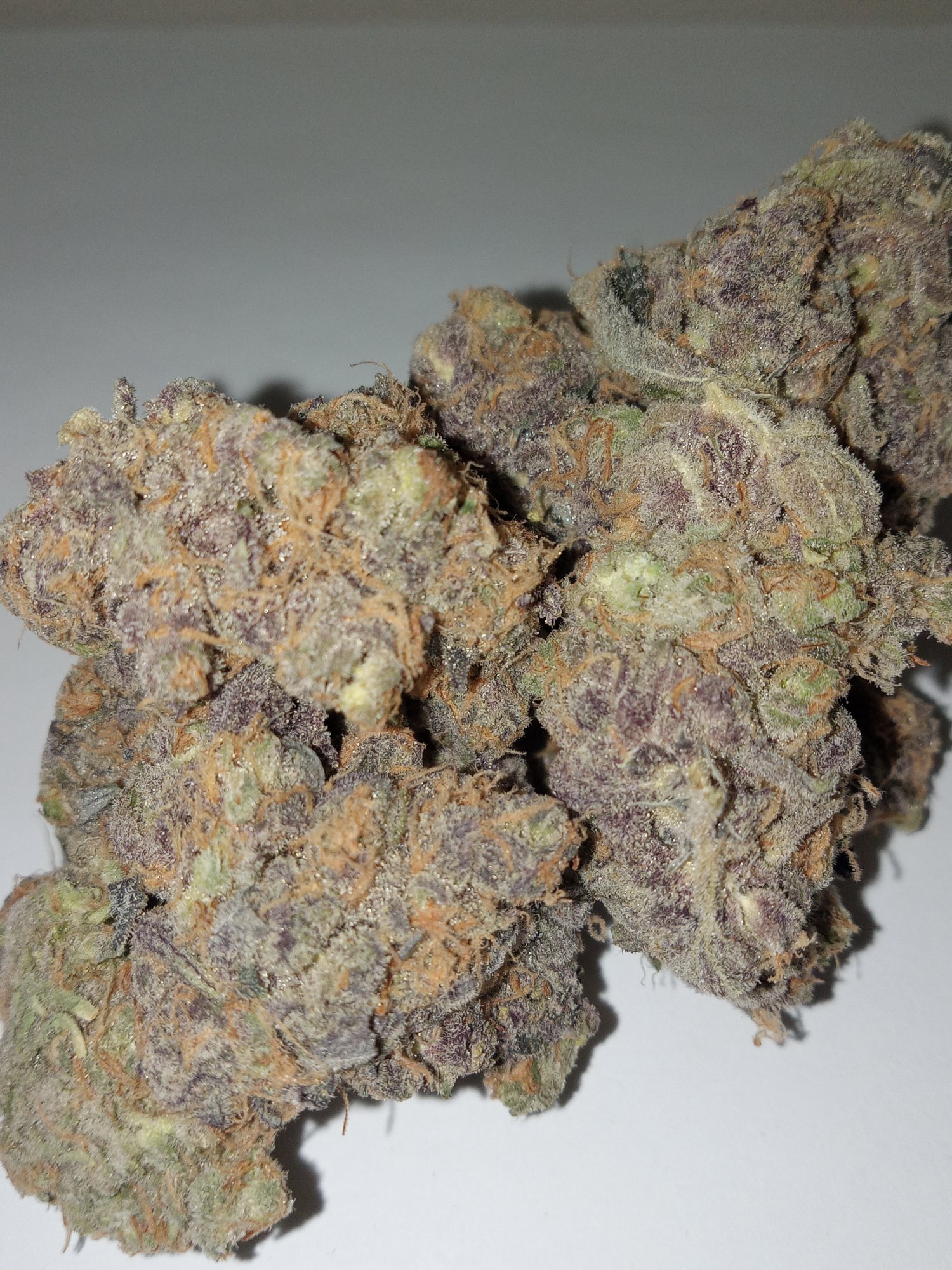 Halifax Dispensary Pink Diamonds