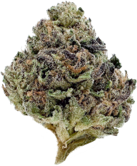 Halifax Dispensary Purple Aghani