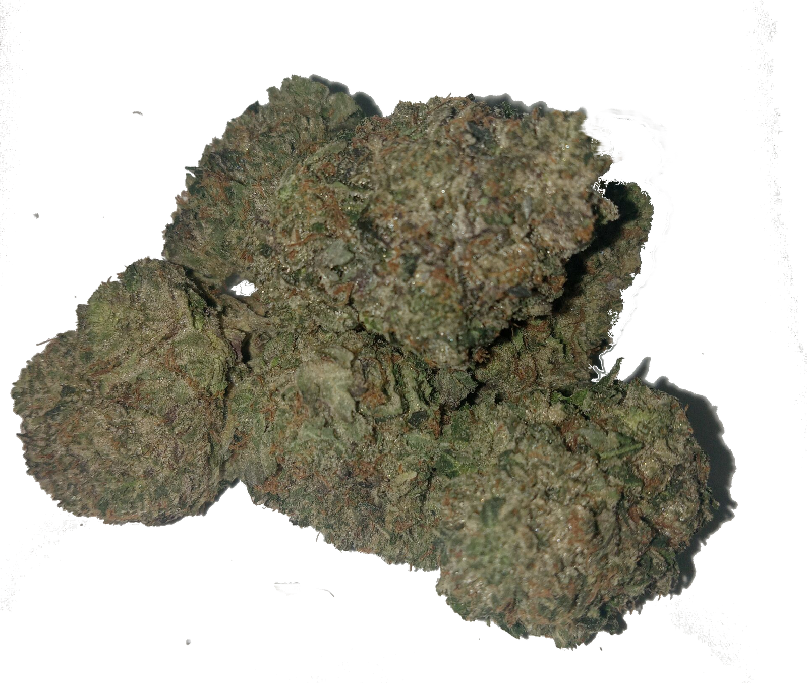 Halifax Weed Pink Diamonds