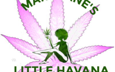 Cannabis: The Greatest Plant on Earth