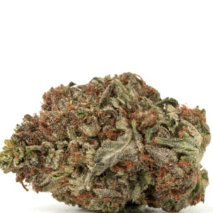 Purple Rock Tuna AAAA